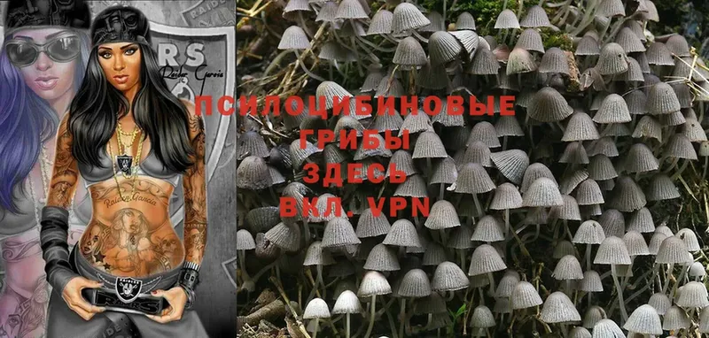 Галлюциногенные грибы MAGIC MUSHROOMS Исилькуль